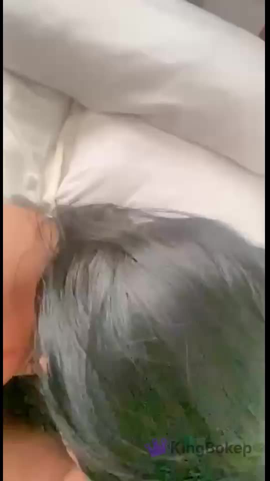 Abg Tocil Suka Ngewe Posisi Wot Doyan Kontol