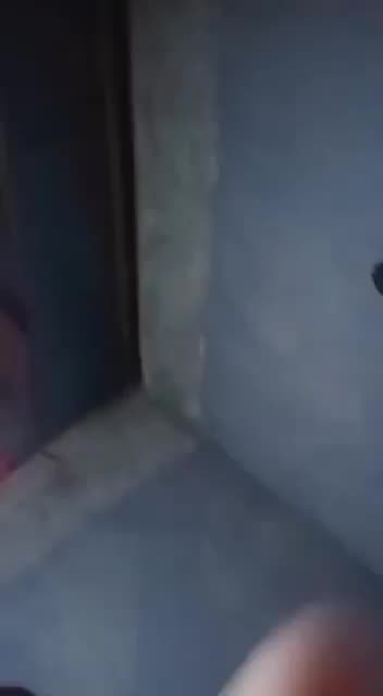 Sherly Tiktok Ngentot Sambil Di Gendong