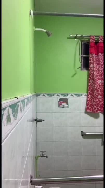 Skandal Tiktokers Cantik Sange Ngentot Di Toilet