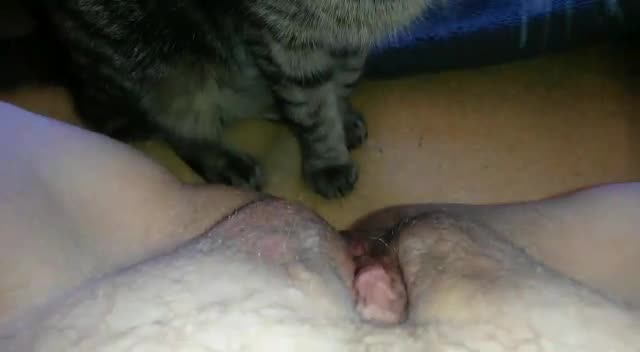 Abg Cantik Sange Colmek Bulu Tipis